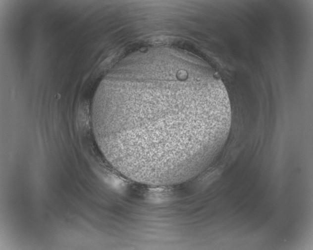 X0000081560240200701221035