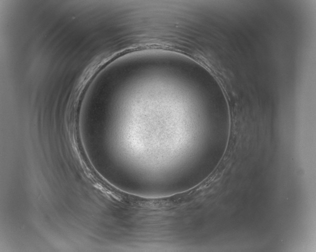 X0000081560241200701221034