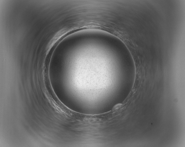 X0000081560242200701221034