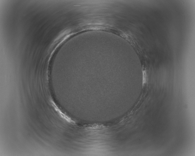 X0000081560243200701221034