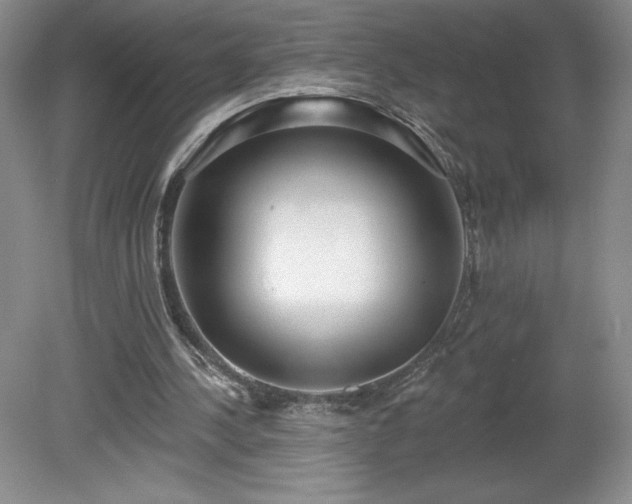 X0000081560244200701221034