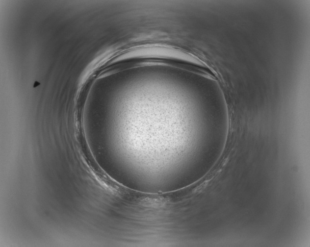 X0000081560245200701221034