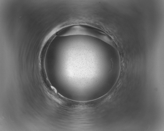 X0000081560246200701221034