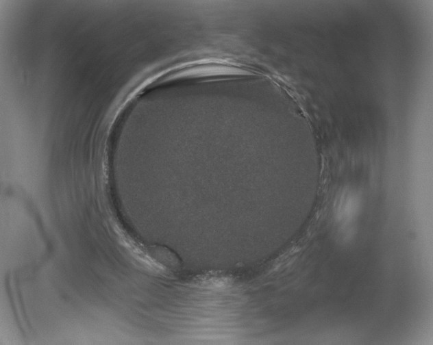 X0000081560247200701221034