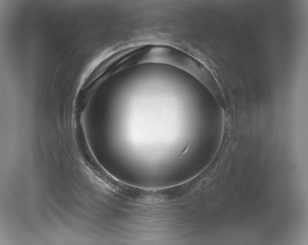 X0000081560248200701221034