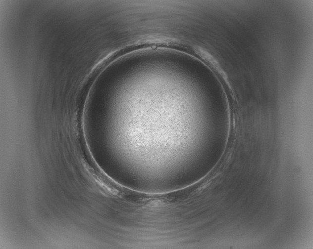 X0000081560249200701221034