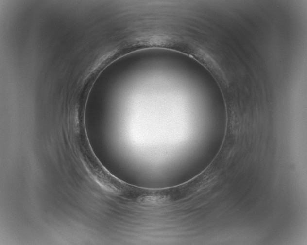 X0000081560251200701221034