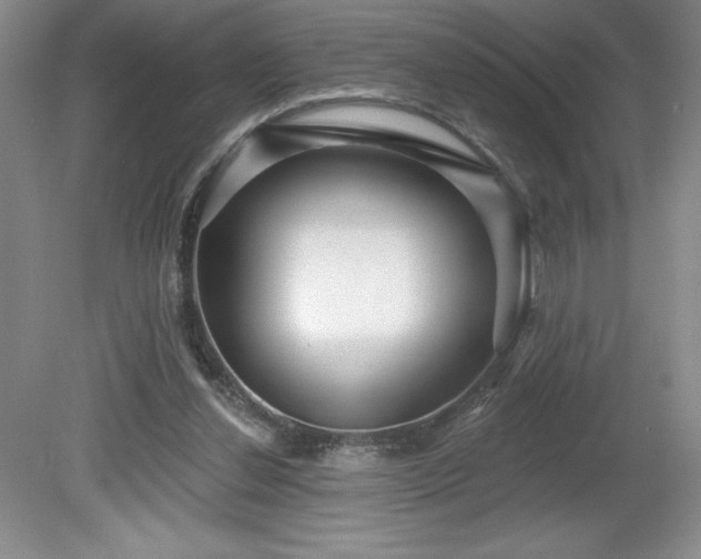 X0000081560252200701221034