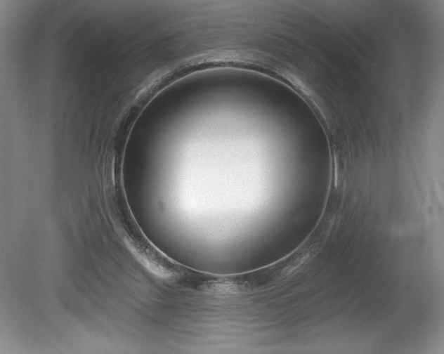 X0000081560253200701221034