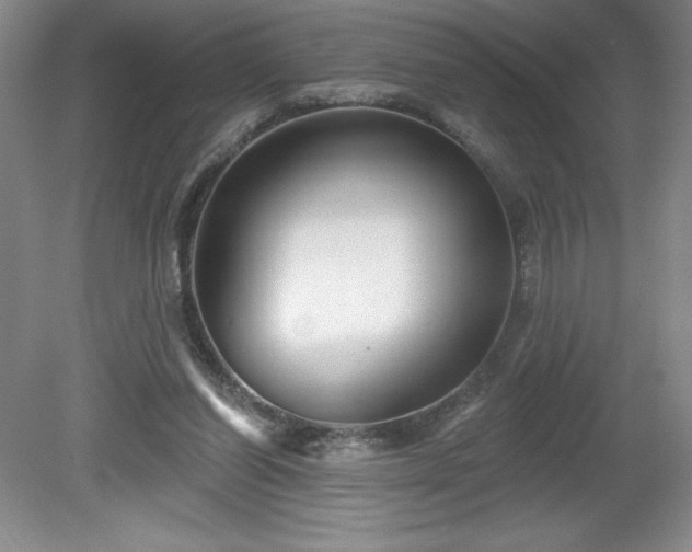 X0000081560254200701221034