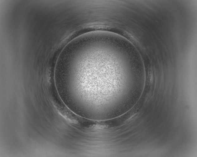 X0000081560255200701221034