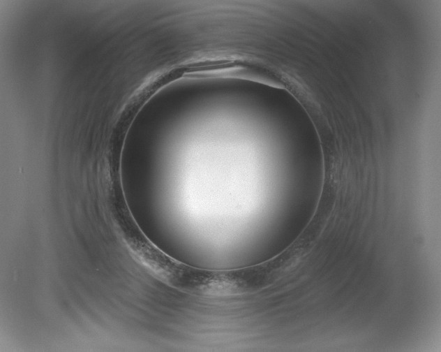 X0000081560256200701221034