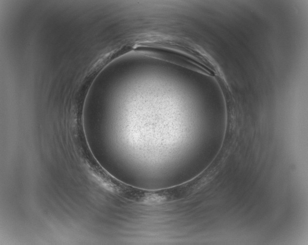 X0000081560257200701221034