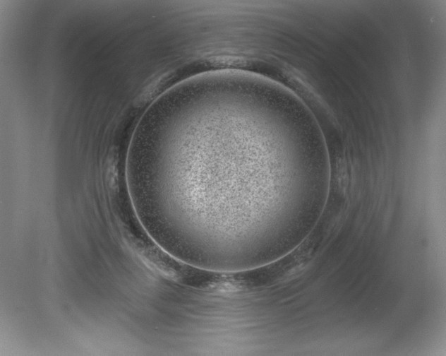 X0000081560259200701221034