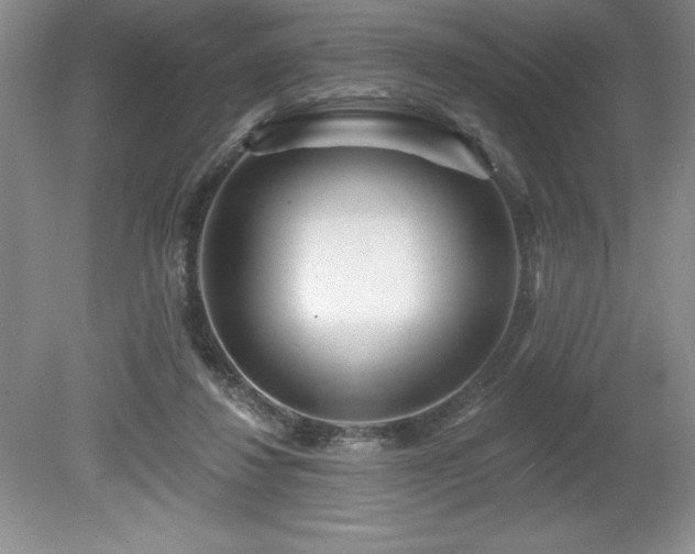 X0000081560260200701221034