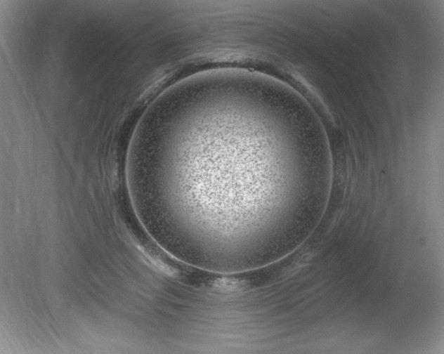 X0000081560261200701221034