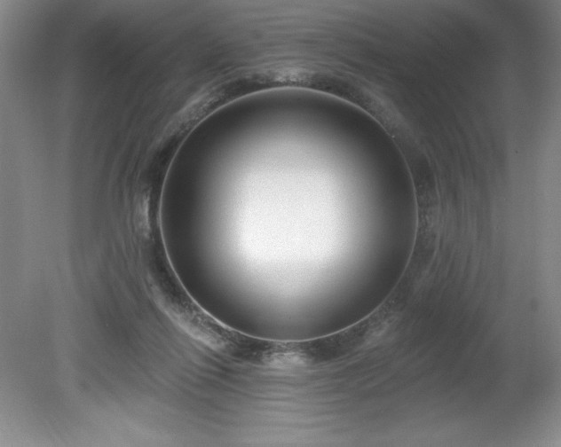 X0000081560262200701221034