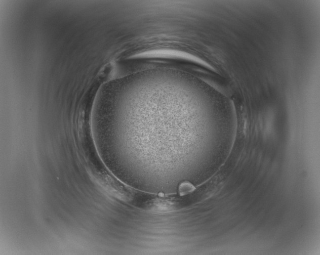 X0000081560263200701221034