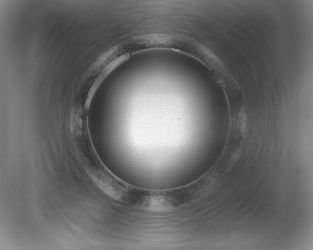 X0000081560264200701221034