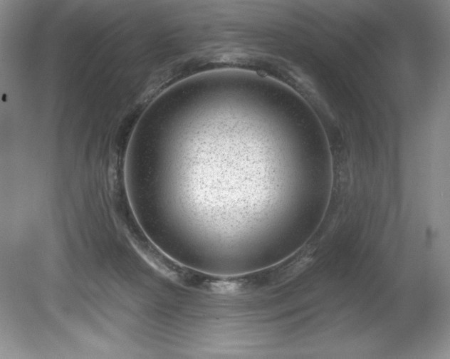 X0000081560265200701221034