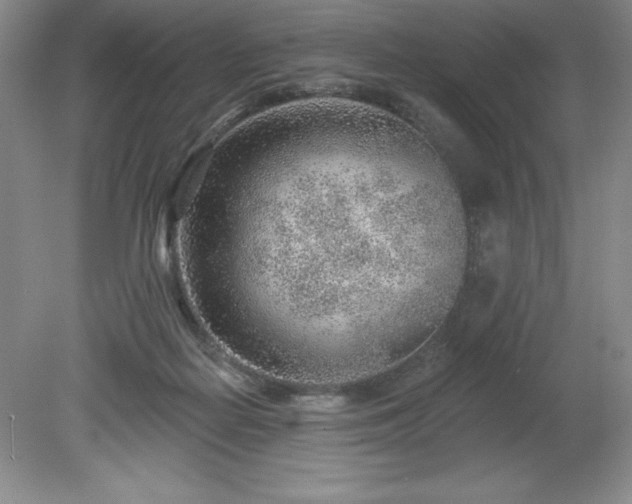 X0000081560266200701221034