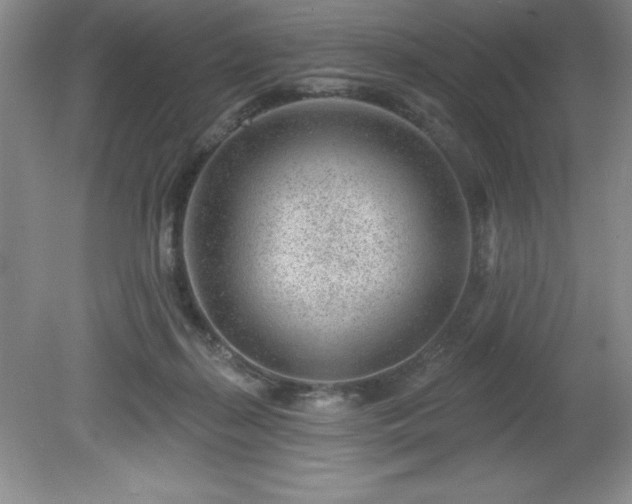 X0000081560267200701221034