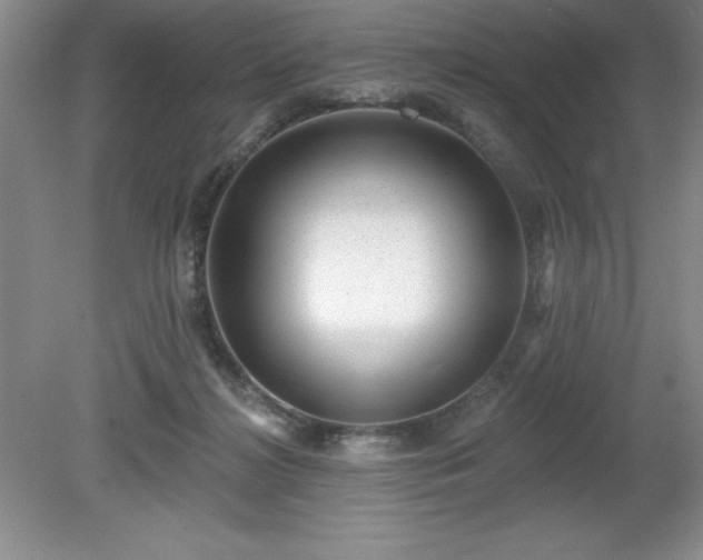 X0000081560268200701221034