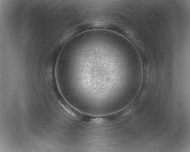 X0000081560269200701221034