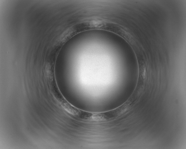 X0000081560270200701221034