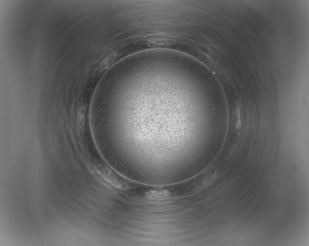 X0000081560271200701221034