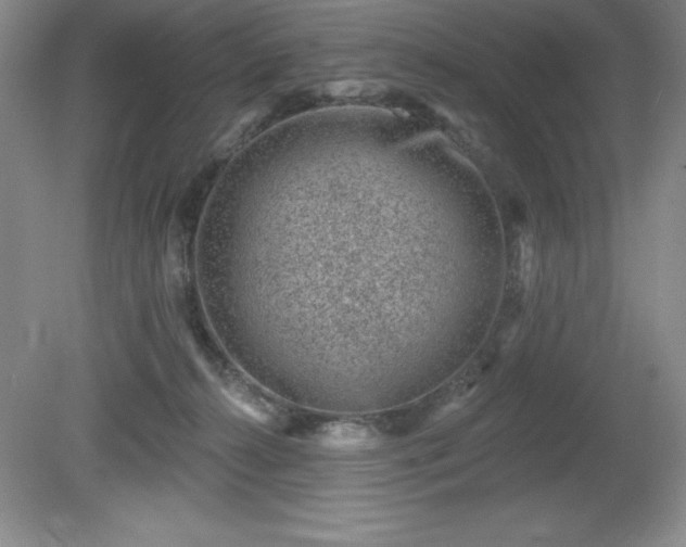 X0000081560272200701221035