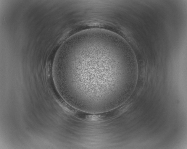 X0000081560273200701221035