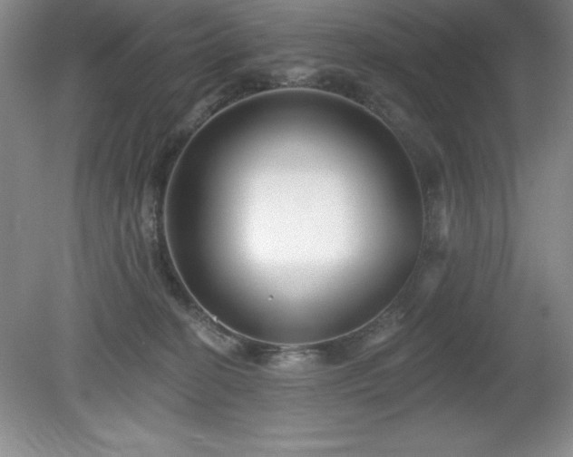 X0000081560274200701221035