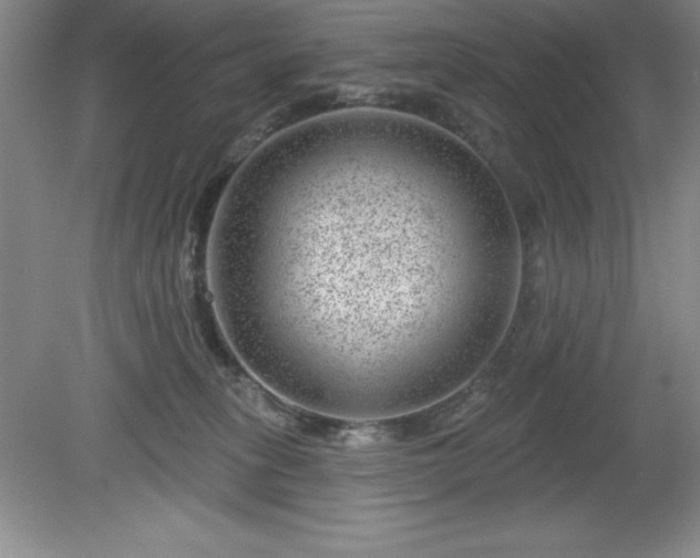 X0000081560275200701221035