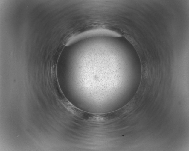 X0000081560276200701221035