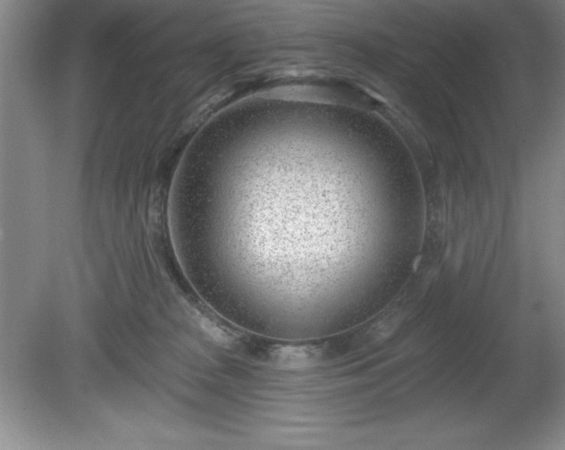 X0000081560277200701221035