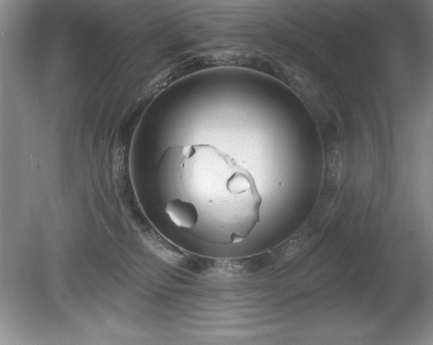 X0000081560278200701221035