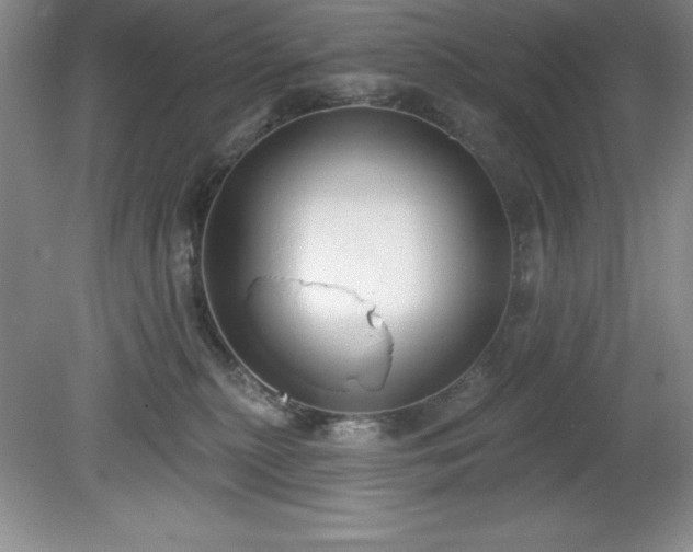 X0000081560279200701221035