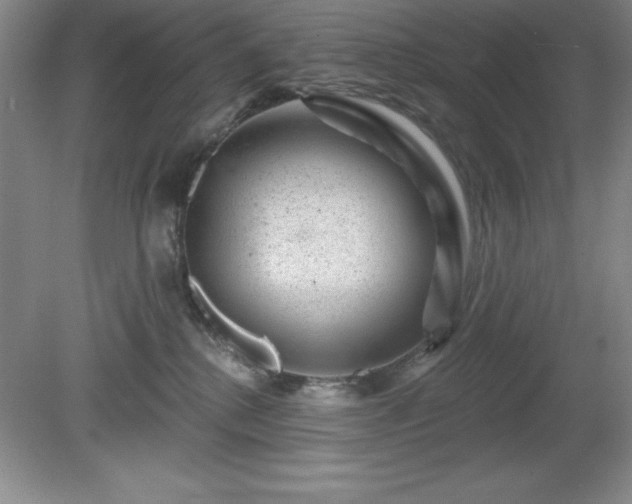 X0000081560280200701221035