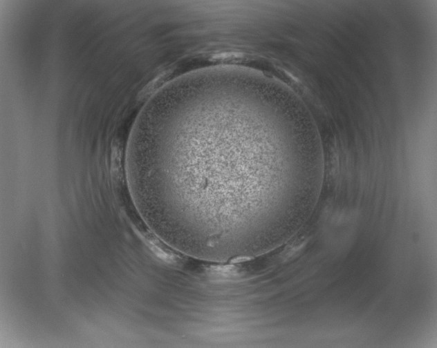 X0000081560281200701221035