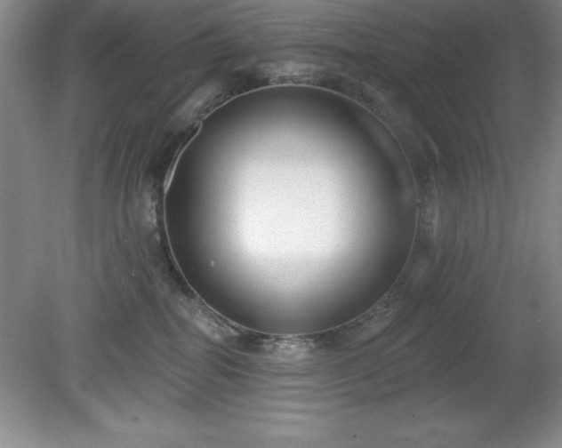 X0000081560282200701221035