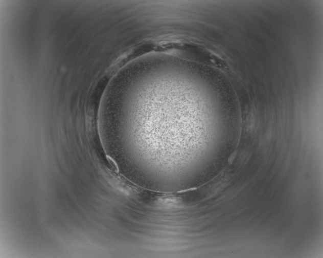 X0000081560283200701221035