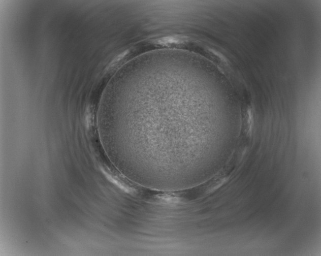 X0000081560284200701221035