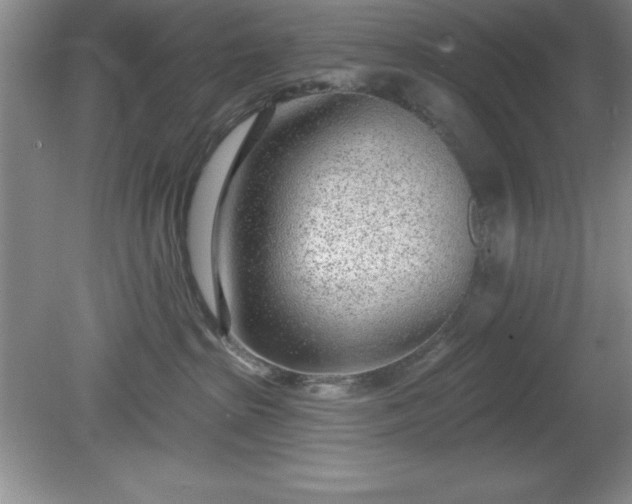 X0000081560285200701221035