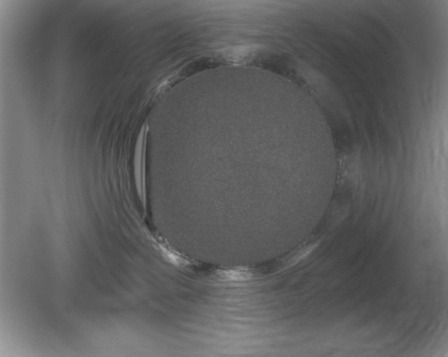 X0000081560286200701221035