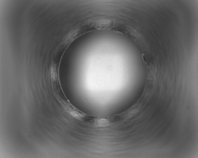 X0000081560287200701221035