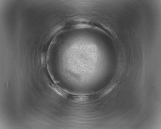 X0000081560288200701221035