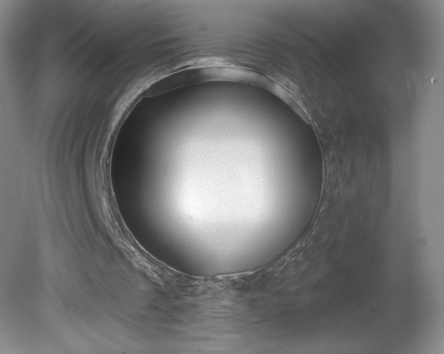 X0000081560289200701221034