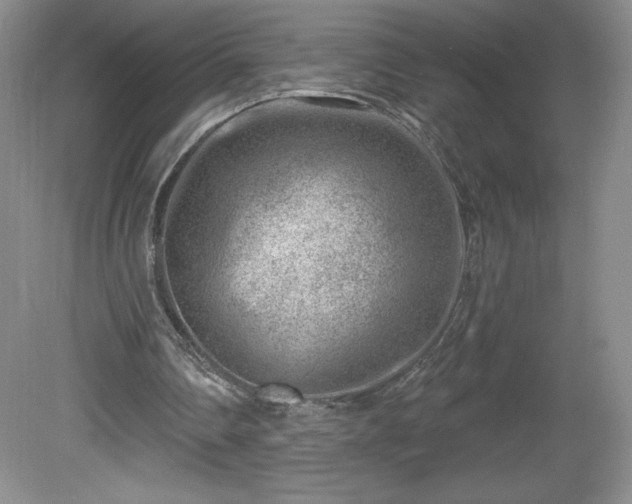 X0000081560290200701221034