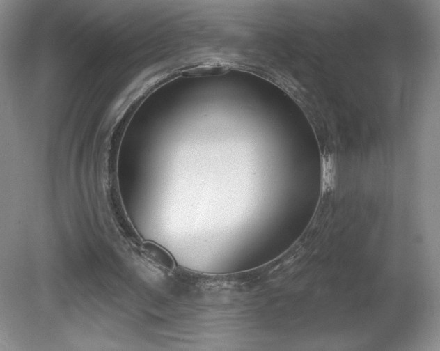 X0000081560291200701221034